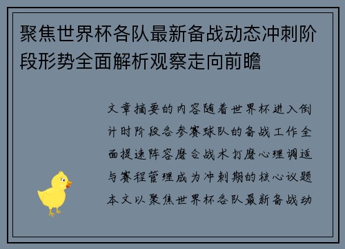 聚焦世界杯各队最新备战动态冲刺阶段形势全面解析观察走向前瞻
